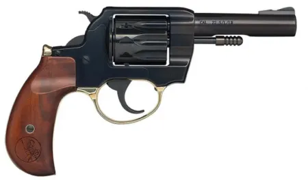 HENRY GOLDEN BOY 22LR BIRDSHEAD 4 10RD