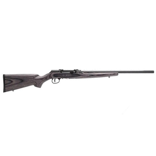 SAV A17 SPORTER 17HMR 22 GRAY LAMINATE 10RD