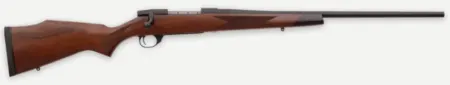 WBY VANGUARD 2 22-250 24 TB SPORTER