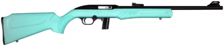 ROSSI RS22 22LR BLK/TEAL 18" 10+1