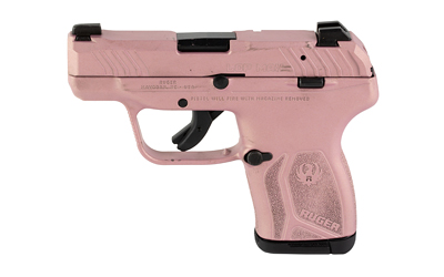 RUGER LCP MAX 380ACP 2.8" 10RD RG