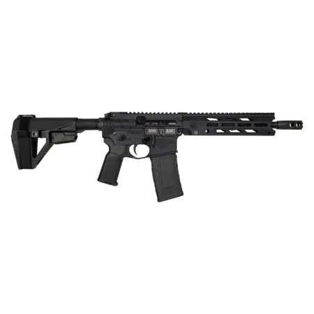 DIAMONDBACK FIREARMS DB15O 300BLK BLACK 10" BRACE