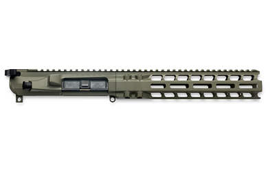 RADIAN UPPER/HANDGUARD SET 10" ODG