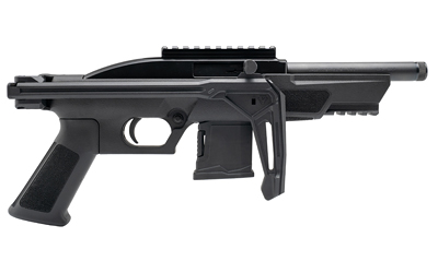 ROSSI RS22P 22LR 6" 10RD BLK SI BRC - Image 2